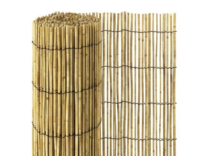 Tutor em canas de bambu