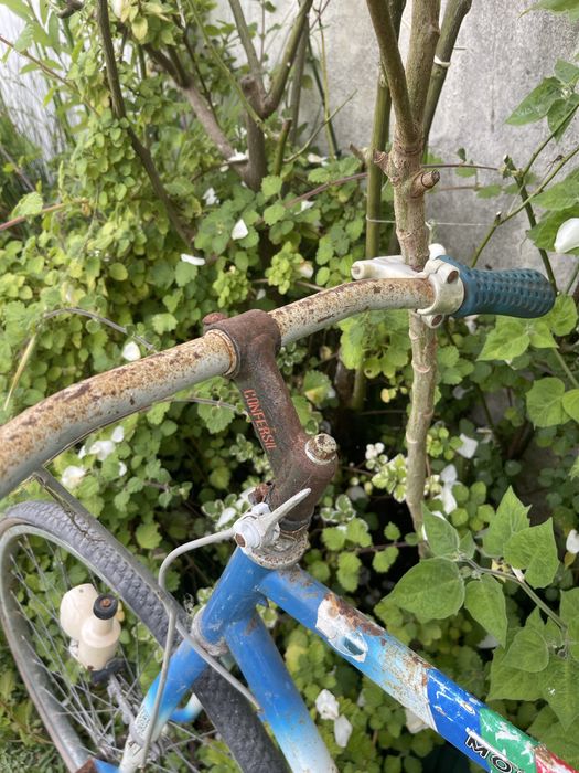 bicicleta vintage para restauro confersil