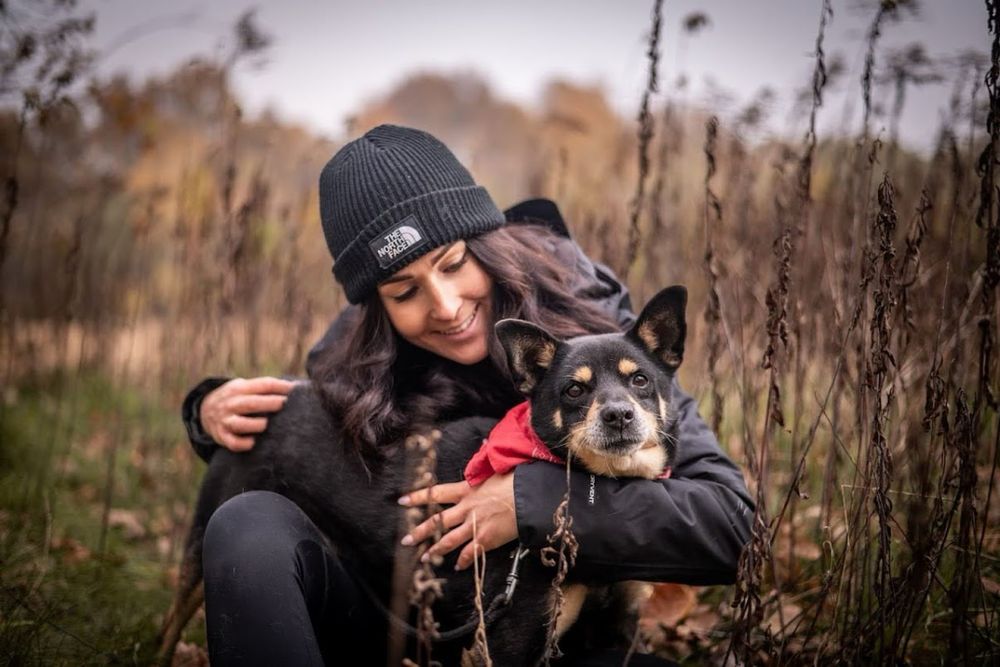 Kolejna zima w schronisku?Mały, czarny, starszy pies w typie Shiba Inu