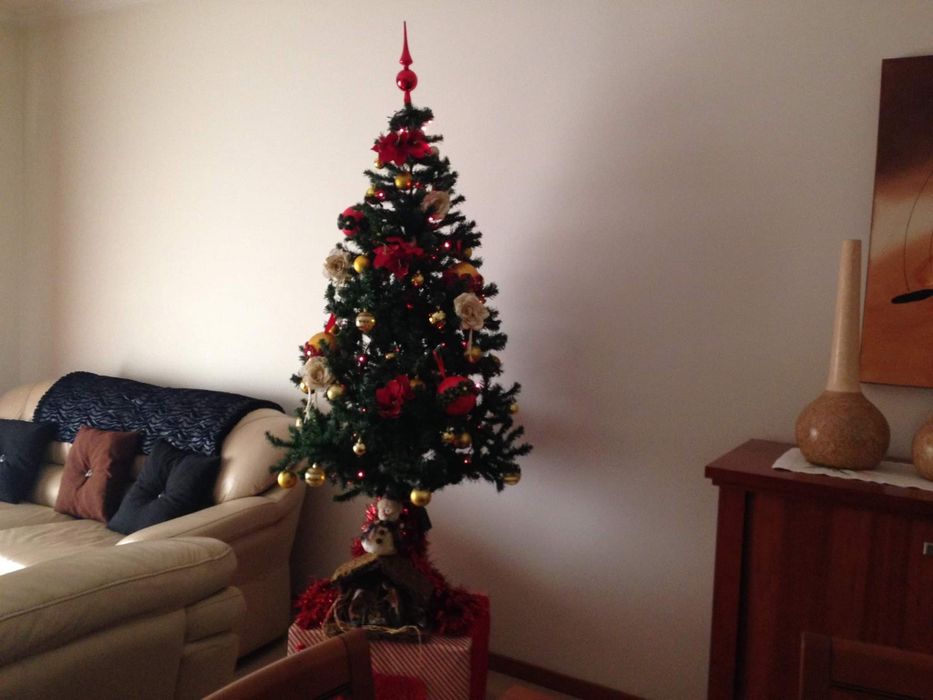 Pinheiro de Natal