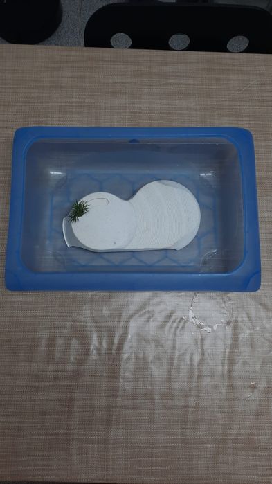 Terrário para tartarugas/cágados