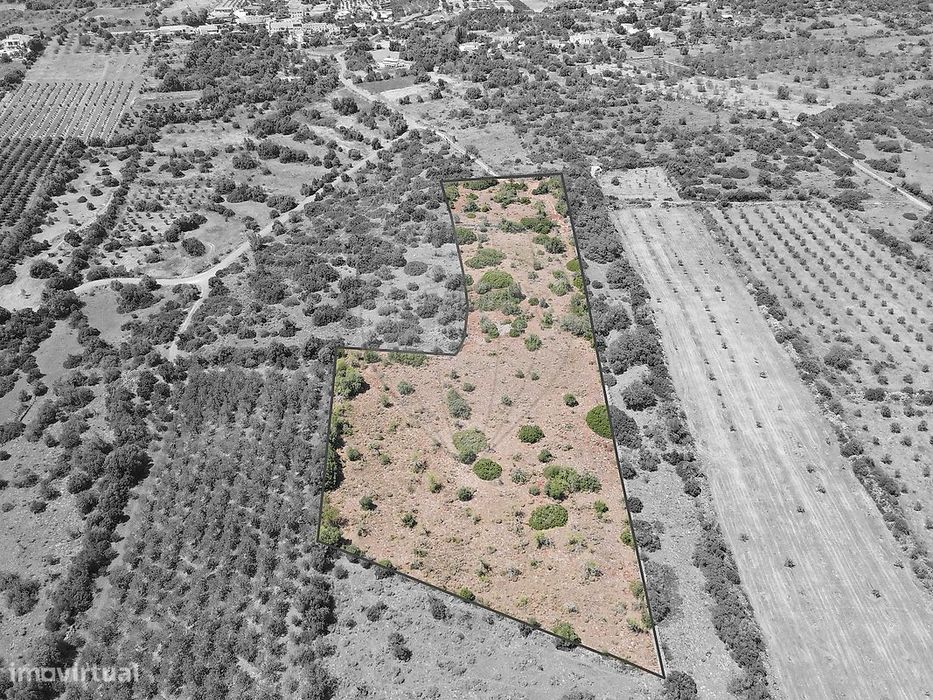 Terreno  para venda — São Bartolomeu de Messines, Faro