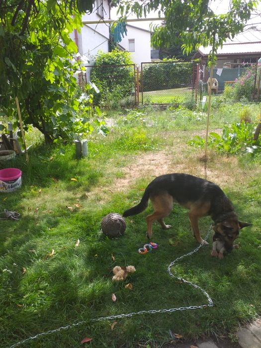 Kto podaruje Wirusowi domek?