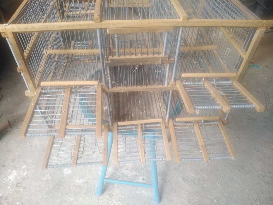 Alçapão automático