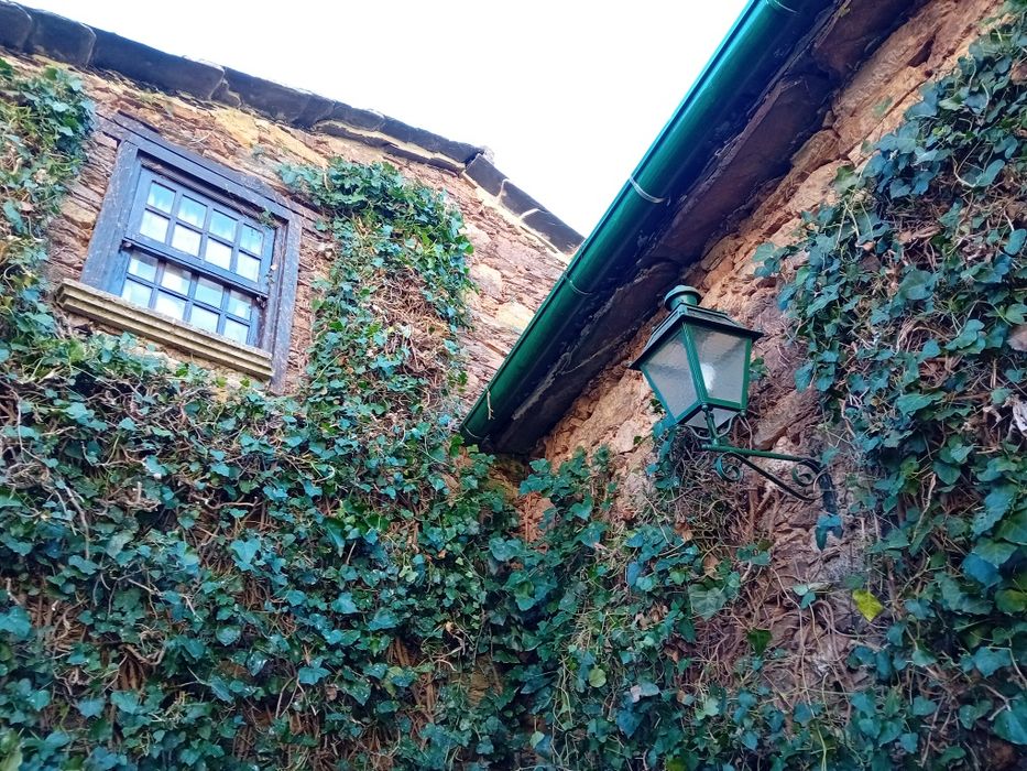 Serviços de jardinagem e limpezas.