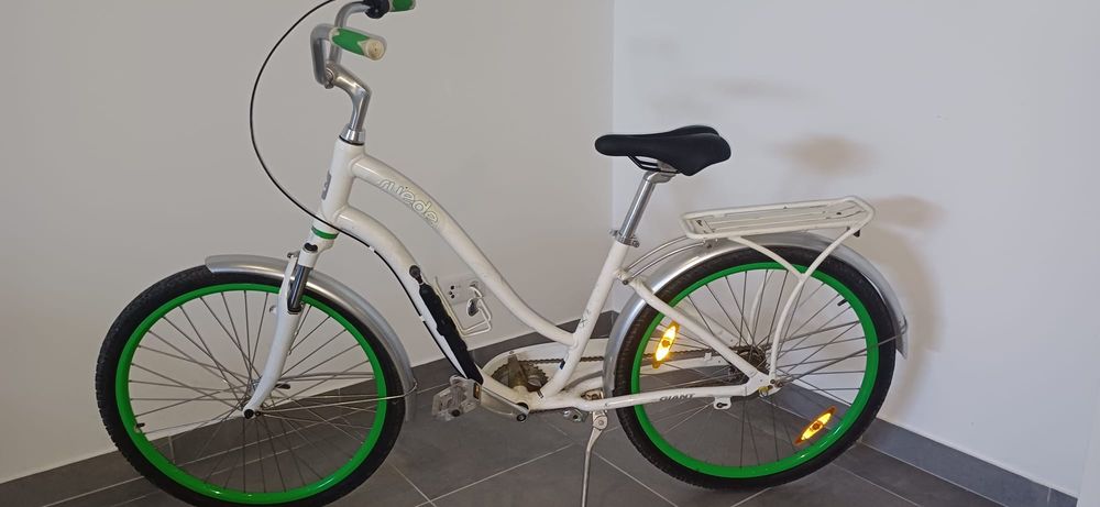 Giant suede 3 speed.