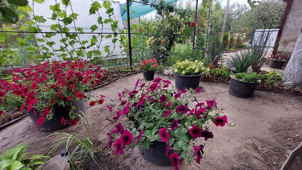 Продам дачу, 4 сотки . Садовое сообщество "Уголек"