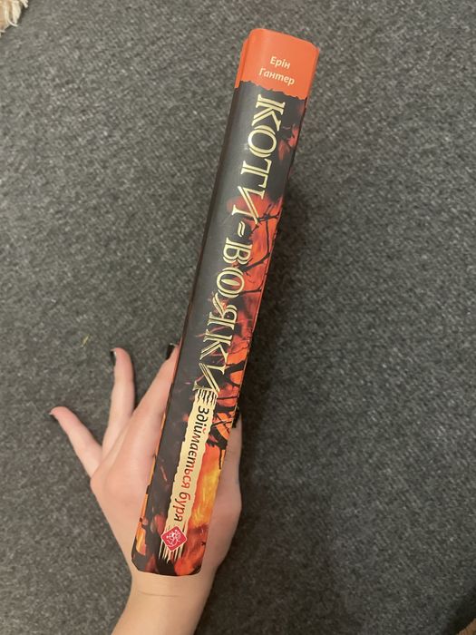 Здіймається буря Коти вояки Ерін Гантер Видавництво ACCA