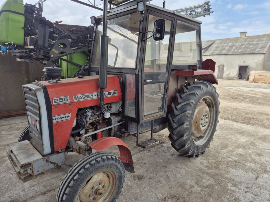 Massey Ferguson 255, ursus, zetor, massey ferguson