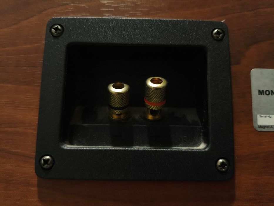 Magnat Monitor 990
