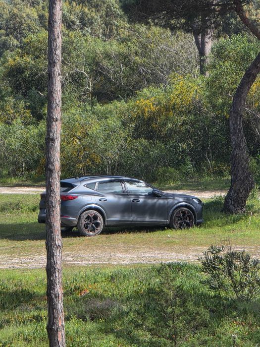 Cupra Formentor VZ 2.0 TSI 310cv DSG 4Drive – Cinzento Matte