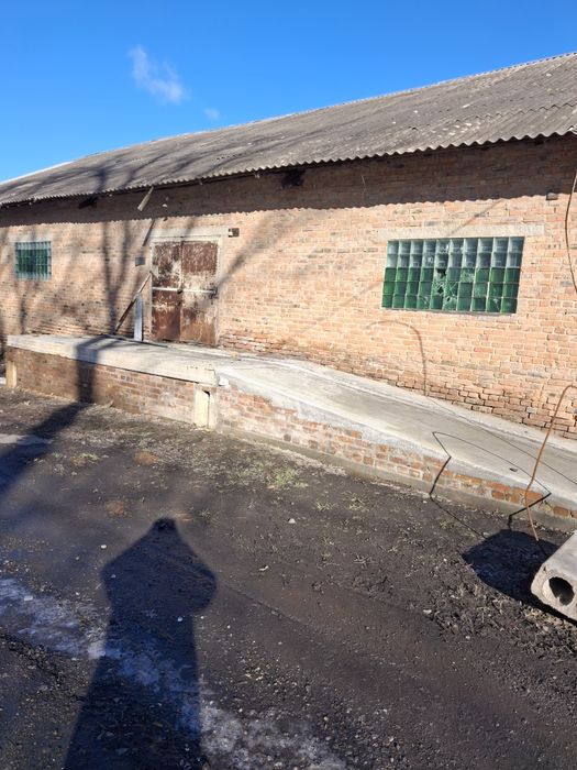 Здається в оренду складське приміщення з підвалом