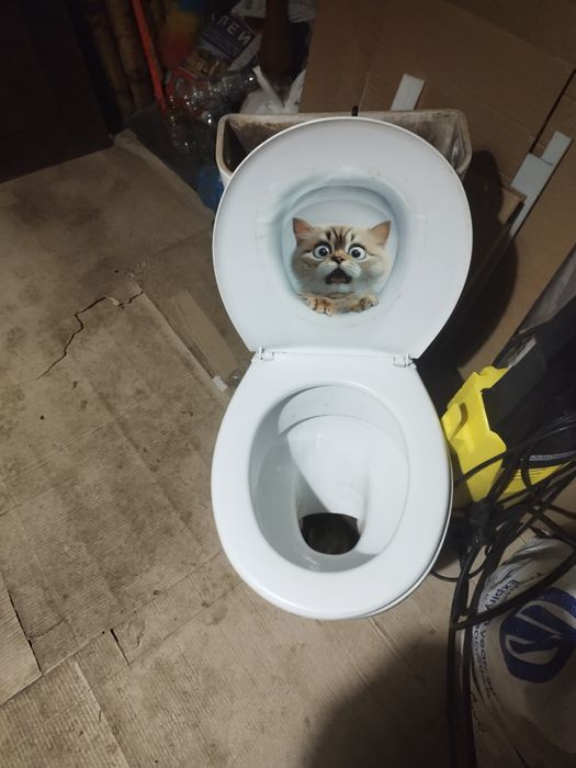 Унітаз комплект в зборі