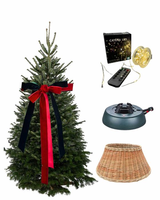 Новорічна жива ялиця + підставка з резервуаром для води +гірлянда 100м