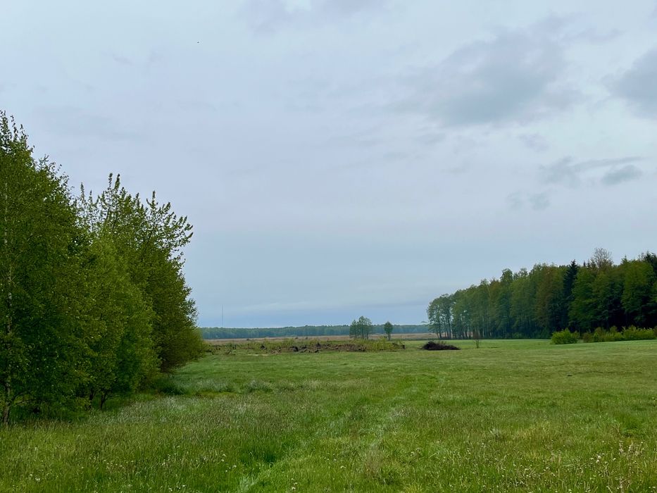 Działka na sprzedaż Ruda