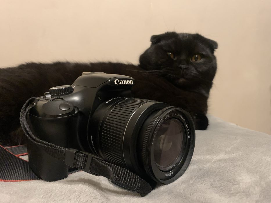 Фотоапарат canon 1100d