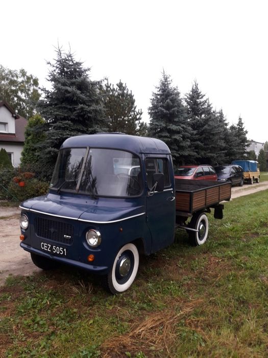 Żuk