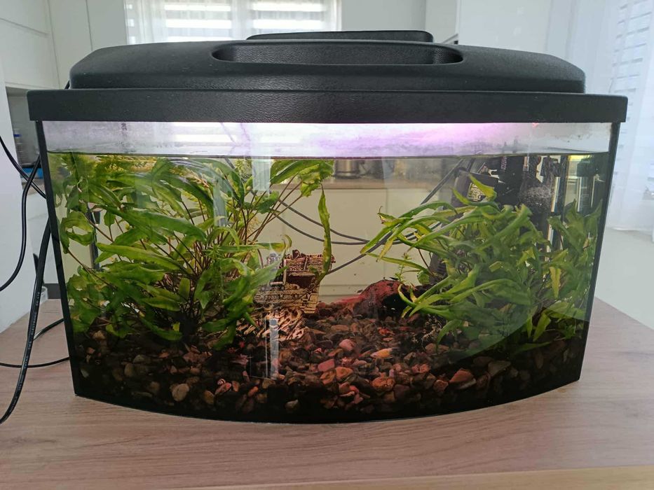 Akwarium 65l Okazja