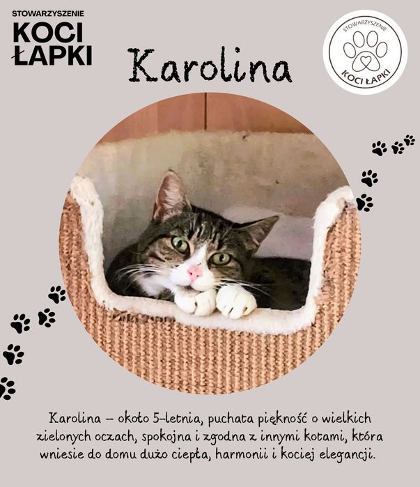 Karolina – zielonooka dama