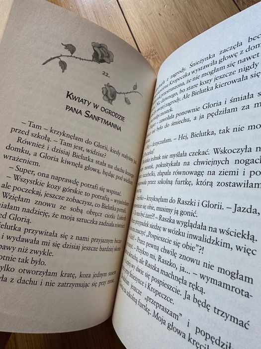 Lola Lwie Serce Tom 5 Isabel Abedi książka dla dzieci