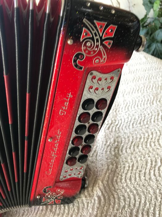 Vendo concertina semi nova da Famosa marca Dinobafetti