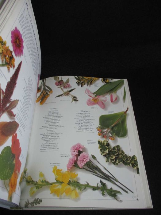 Livro O Jardim em Vasos Malcolm Hillier 1991