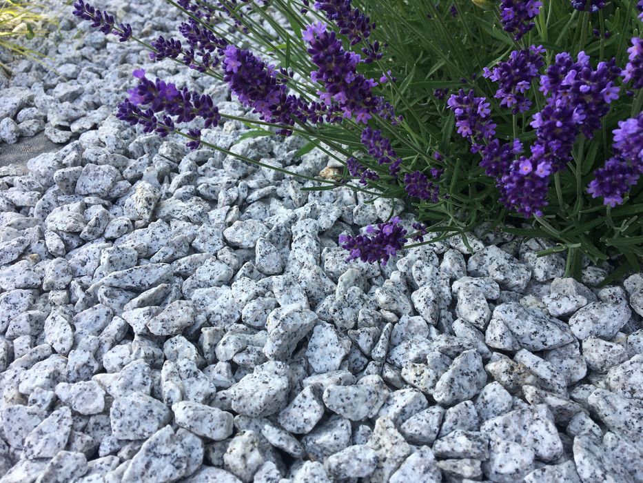 Grys granitowy Dalmatyńczyk - ten właściwy 8-16 & 16-22