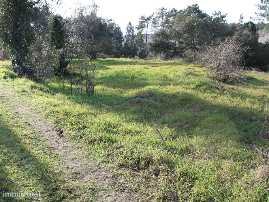 Terreno - Monte Redondo