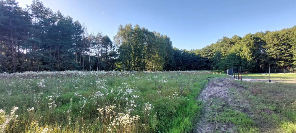 Sprzedam działki rekreacyjne - Borowy Młyn - Pszczew - woj.Lubuskie – pohled 5