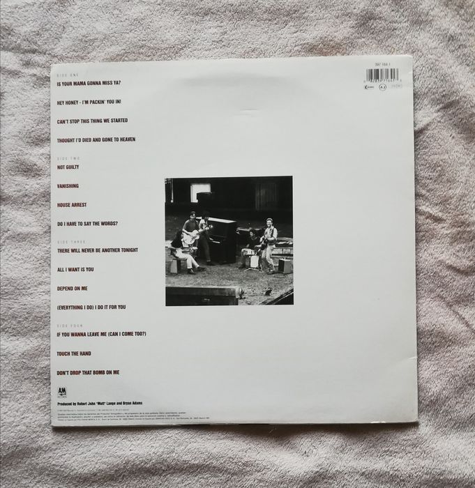 Bryan Adams : Waking up the neighbours  (2xLP)