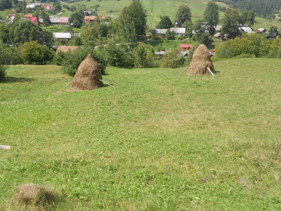 Житловий будинок та земельна ділянка 55,3 сот. с.Козьова