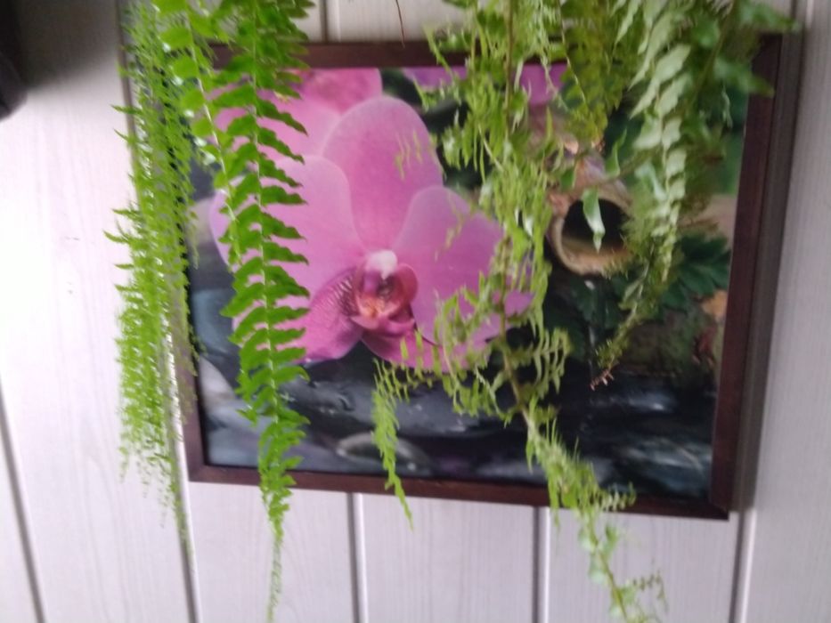 Obrazy obrazki tryptyk kwiaty