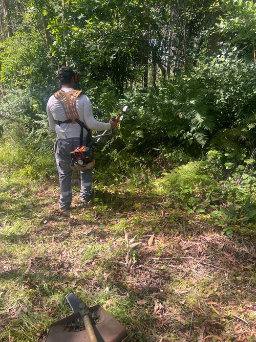 Faço limpezas de terrenos quintais
