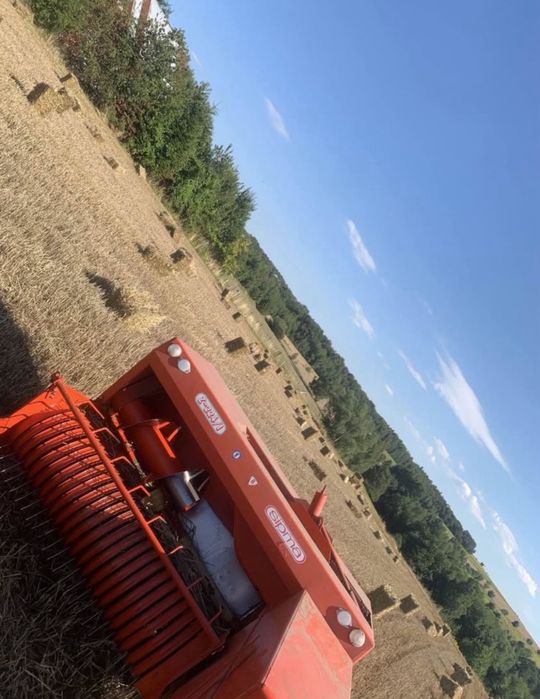 Słoma w kostkach 2025