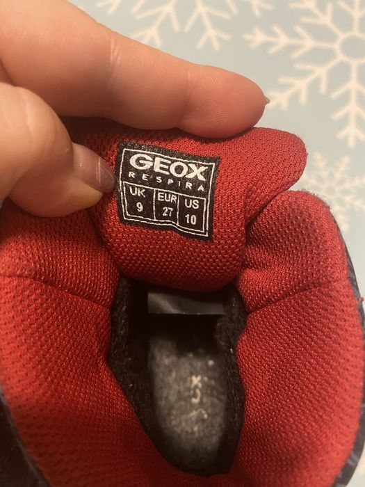Зимние сапоги на мальчика Geox
