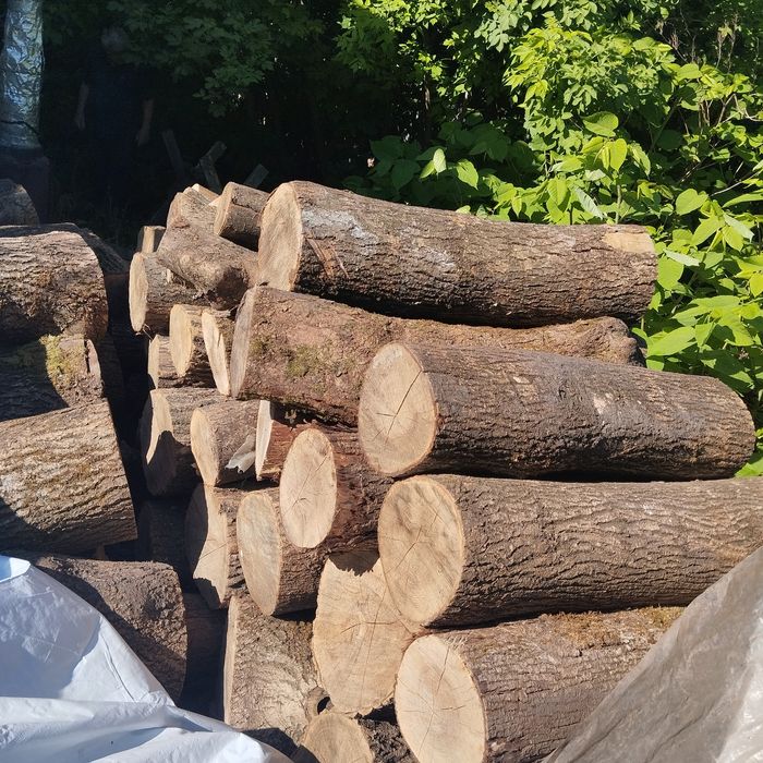 Продаються дрова 6 кубів