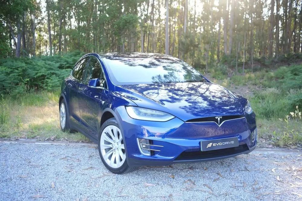 Tesla Model X 75D477056063001733127