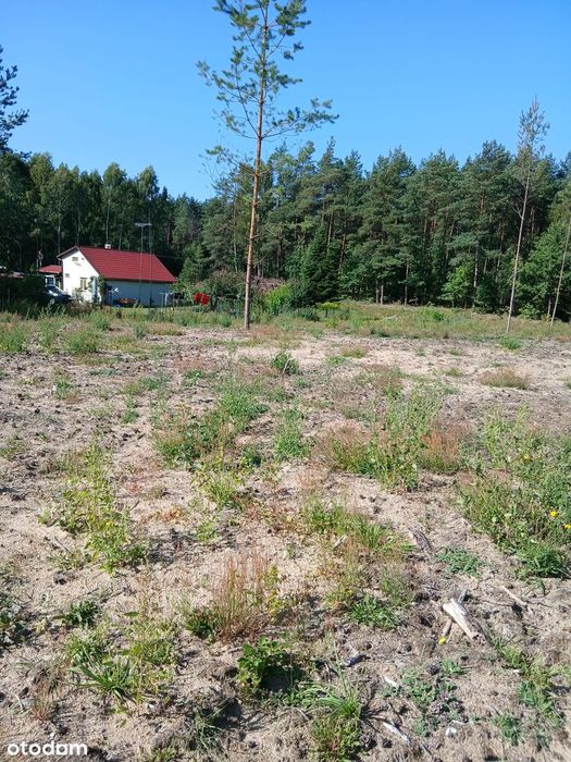 Kaszuby sprzedam działki budowlane – Struga, gmina Stara Kiszewa