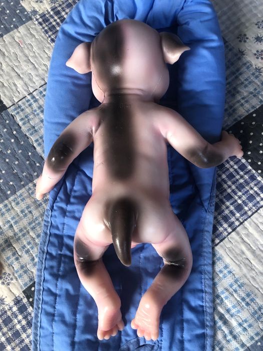 Cachorro reborn ( verdadeiro silicone) Cosdoll