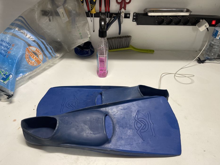 Barbatanas gabbiano francis