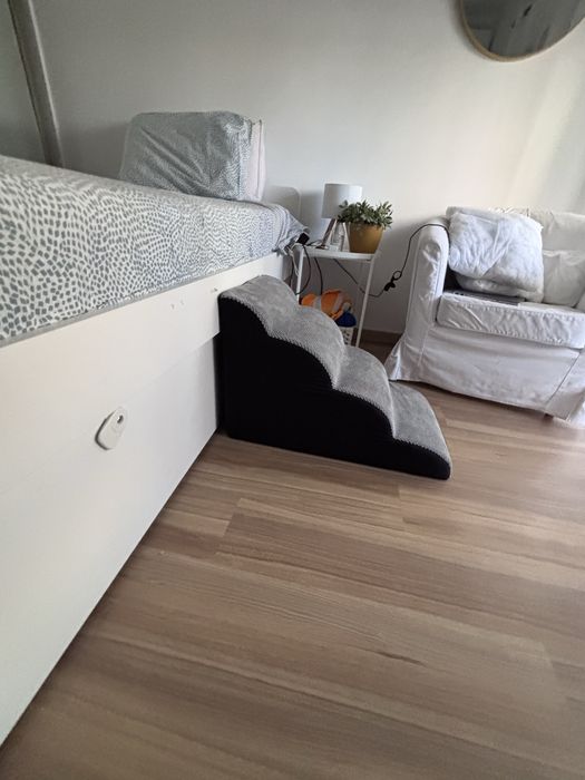 Rampa/escada para cão ou gato