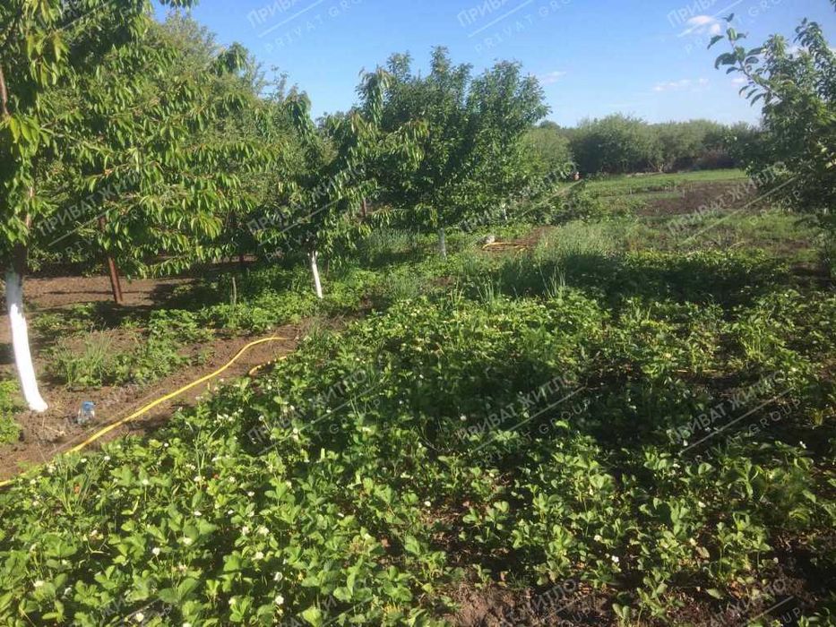 Будинок із земельною ділянкою 1 га, неподалік від міста Решетилівка