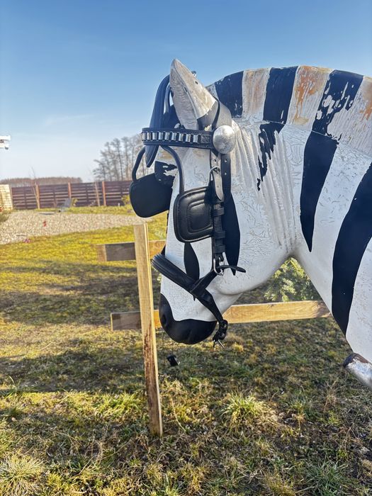 Aktualne! Bryczka dla kucy malych koni