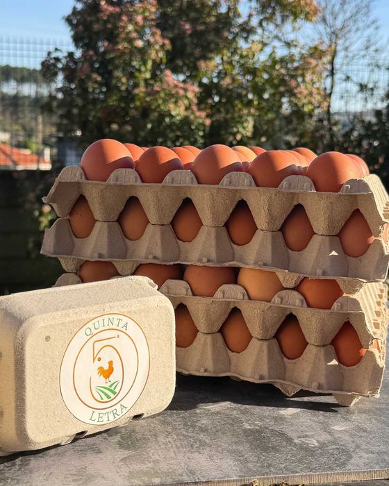 Ovos Caseiros Selecionados – Produção Limitada