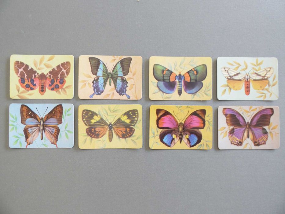 Calendários Peixes, Borboletas, Aves