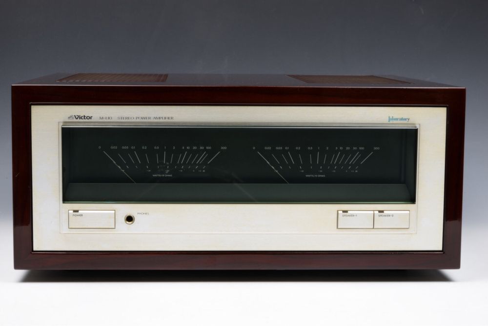 Усилитель двублочный Victor P L10 & M L10