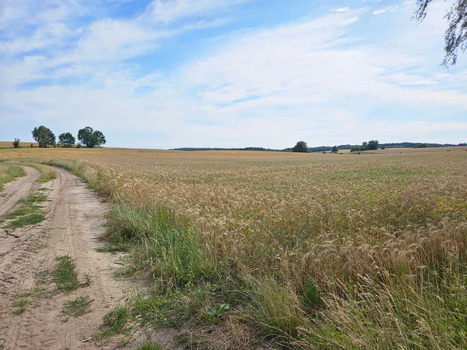 Działki budowlane w pięknej, zielonej scenerii...