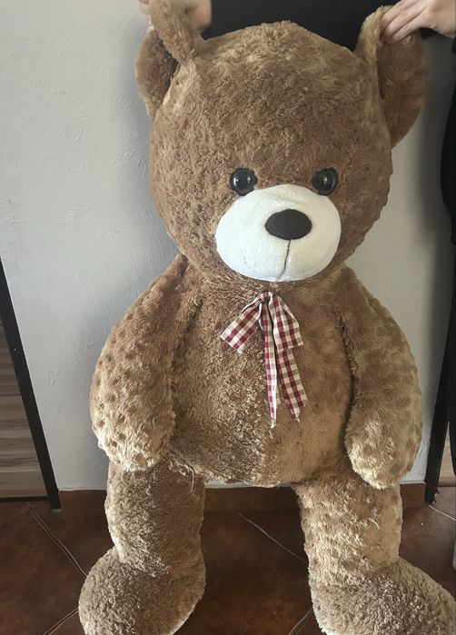 Przyjemny pluszowy miś