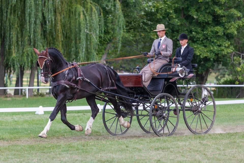 Stanowka ogierem śląskim Aromat