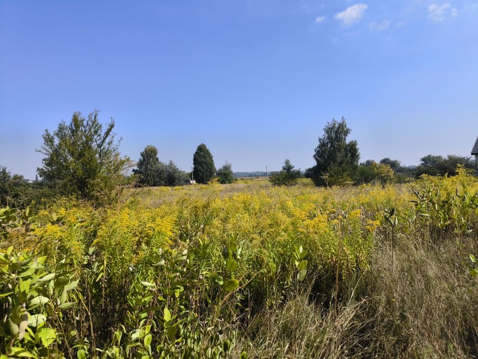 Продам дачу с. Мокрець Броварський район